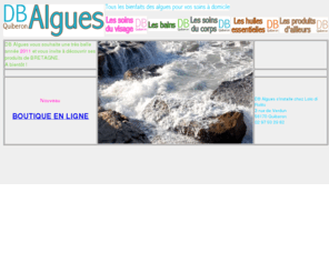 algues-quiberon.com: DB Algues
