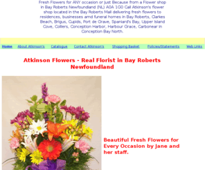 bayrobertsflowers.com: Atkinson Flowers - Real Florist in Bay Roberts Newfoundland
Atkinson Flowers - Professional flower shop in Bay Roberts Newfoundland

A0A 1G0 delivering fresh flowers to Bay Roberts, Clarkes Beach,

Brigus, Cupids, Port de Grave, Conception Harbour, Spaniards Bay, Upper 

Island Cove, Harbour Grace, Carbonear and towns in between. 

Flowers Canada accredited florist serving you since 1985., 