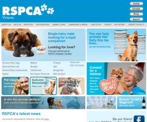 rspcavic.org: RSPCA Victoria | For all creatures great and small
