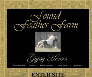 foundfeatherfarm.net: Enter Found Feather Farm
Gypsy Horse Breeding Farm,
Foals for Sale, Gypsy Horses for Sale, 2008 Foals for Sale,
Horses for sale,
Gypsy Vanner Horses, The Cabins at Mill Spring, The Cottage Collection Retail Store