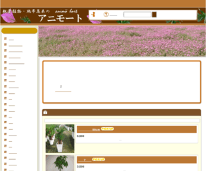 animo-hort.com: 観葉植物　通販　販売　アニモート
観葉植物の通販,販売のお店で、育て方も記載しております。