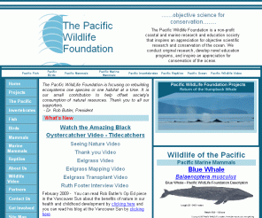 pwlf.org: Pacific Wildlife Foundation - Objective Science for Conservation - Pacific Wildlife Foundation, Whales, Seabirds,Raptors,Marine Mammals,Mammals,Fish and Invertebrates
Pacific Wildlife Foundation(PWLF) does independent research on coastal wildlife and marine ecosystems with the goal of providing the public with objective science.