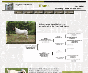 wegotgoat.com: Home
The Double H Ranch has goats for sale in Claremore, Oklahoma.  Check out our ennobled bloodlines!