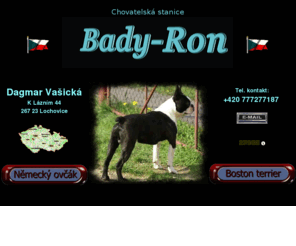 bady-ron.com: Chovatelská stanice bady-ron
Chovatelská stanice bady-ron