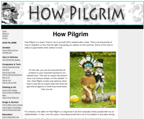 howpilgrim.com: How Pilgrim
How-to parody site offers funny answers, advice, facts and wisdom for serious questions. So ask an expert here and get a WTF answer.