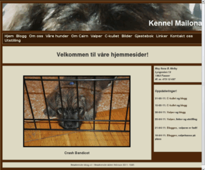 kennel-mailona.com: Kennel Mailona
Velkommen til min nye hjemmeside som er laget via www.cybersite.se