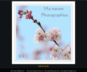 ben-images.com: Ma nature, photographies.                              Benjamine Scalvenzi
des fleurs et des insectes en macro et proxi, la petite vie d'un marais normand, queques paysages bretons, normands, provencaux et alpins; 