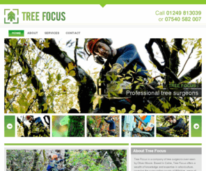 tree-focus.com: Tree Focus: Tree Surgery
Tree Focus: Ollie Moore Tree Surgery