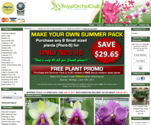 royalorchidclub.com: Royal Orchid Club - Farm fresh orchid nursery plants, dendrobium, cattleya, vanda, phalaenopsis, oncidium, orchid plant
We sell high quality bare root orchid plants