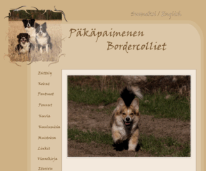 pakapaimenen.com: Kennel Pkpaimenen
