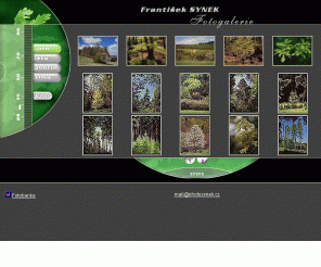 photosynek.cz: FotoGalerie - Frantiek Synek
Barevn fotografie lesa ve vech ronch obdobch.