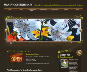 mandysgreenhouse.com: Mandy's Greenhouses | Specializing in alpine/rock garden plants, heirloom tomatoes, and organic products
Mandy's Greenhouses: Specializing in alpine/rock garden plants, heirloom tomatoes, and organic products