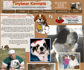 tinybearkennels.net: Index
Breeder of saint bernards and english bulldogs. Show  dogs and breed puppies.Located on Long Island, NY  