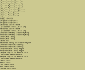 Overseas assignment inventory 03 image