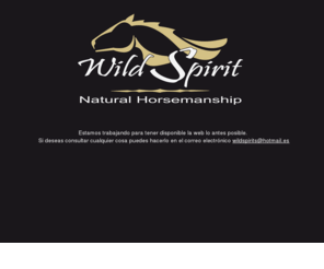 wildspirit.es: Wild Spirit
En Wild Spirit te ayudamos en el adiestramiento de caballos