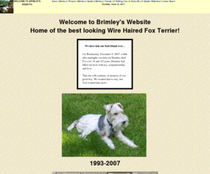 billcoady.com: Home of Brimley the best looking Wire Haired 
Fox Terrier
Brimley wire hair haired fox terrier