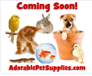 adorablepetsupplies.com: AdorablePetSupplies.com
AdorablePetSupplies.com :  - HEALTH GROOMING TOOLS/SUPPLIES FOOD - CAT & DOG DOG STUFF CAT TOYS & STUFF SHAMPOOS/RINSES/COAT PRODUCTS PEST CONTROL ON PETS EAR CARE SANITATION-REPELLENTS SMALL ANIMAL PROD RETRIEVER TRAINING LEADS AND COLLARS MUZZLES-RESTRAINTS REPTILE CHAINS/COUPLERS/SNAPS CARRIERS HARNESS-NYLON BIRD TIEOUT OUTFITTER-BOATING CAGES-CRATES-DOLLIES DISH/PAN/FEEDERS CHEWS PET ATTIRE CHRISTMAS INDOOR SANITATION FISH HOMEOPATHIC DENTAL CARE NEW BORN CARE ITEMS HAIR PICKUPS BARRIERS EXERCISE PENS KENNEL CAGE CARDS BICYCLE BELLS ALL GIFTS BEDS EYE CARE HALLOWEEN PET DOORS PET LIFTS SEASONAL MEDICAL SUPPLIES EYE & EAR DENTAL HEALTH TOYS FELINE VACCINES VITAMINS & SUPPLEMENTS Rx GROOMING TOPICALS TRAINING ELECTROLYTES NON-Rx ANTIBIOTICS WORMERS Kennel Supplies FLEA & TICK NEEDLES & SYRINGES CANINE VACCINES SHAMPOOS CATTLE DIPS & INSECTICIDES DISINFECTANTS & CLEANERS HORSE COLLARS TREATS APPAREL Sheep & Goat 