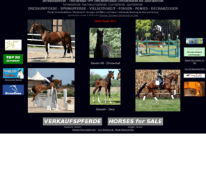 horses-for-sale-online.com: Verkaufspferde, Pferde Kaufen & Verkaufen, Pferdekauf, Pferdeverkauf, Dressurpferde, Springpferde, Vielseitigkeit
Verkaufspferde, Pferdekauf und Pferdeverkauf: Pferdemarkt deutscher, europischer und internationaler Dressurpferde, Springpferde, Vielseitigkeitspferde, Nachwuchspferde bis Grand Prix und Zuchtpferde. Pferde Kaufen und Pferde Verkaufen ausgewhlter Sportpferde, Turnierpferde, Deckhengste, Zuchtstuten und Fohlen fr Dressur, Springen, Vielseitigkeit und Hunter.