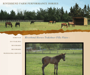 riverbendhorses.com: Home Page
Home Page