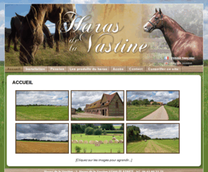 haras-de-la-vastine.com: haras de la vastine, elevage et pension de chevaux en plein cur de la haute normandie a plasnes (eure, 27)  - accueil 
haras de la vastine, elevage et pension de chevaux en plein cur de la haute normandie a plasnes (eure, 27)  - accueil