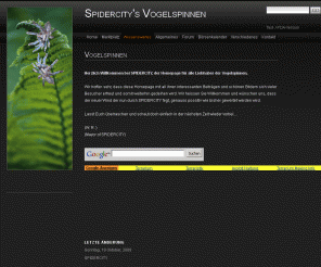 spidercity.ch: SPIDERCITY'S Vogelspinnen 
Die Homepage über Vogelspinnen inklusive Kleinanzeigemarkt und Forum