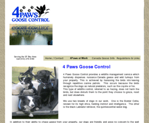 4pawsgoosecontrol.com: 4 Paws Goose Control - Serving the San Francisco Bay Area
4 Paws Goose Contol provides effective and save wildlife control using trained Border Collie dogs and other humane methods to disperse niusance Canada geese and wild turkeys from your property