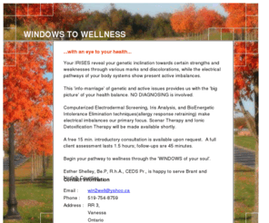 windows2wellness.com: WINDOWS TO WELLNESS
