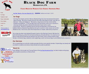 blackdogfarmk9.com: Home
High quality German Shepherd Dogs for Schutzhund, police, search and rescue, or family companions.