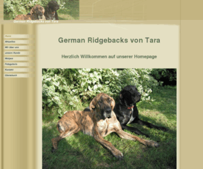 german-ridgebacks-von-tara.com: Home
Haustiere (Hund) - German Ridgebacks von Tara - Doggen-Ridgeback - Dogge - Rhodesian-Ridgeback - Tyson - Jessy - Hope - Hund