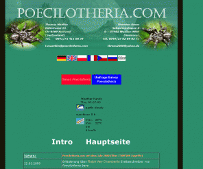 poecilotheria.com: Poecilotheria
Poecilotheria - Homepage from Thomas Märklin out of Switzerland. Mit Börse, Forum, Bildergalerie und einigen wichtigen Infos.