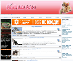 cat-and-cat.com: Кошки | Статьи
Коты, кошки, котята - содержание, разведение, уход.,Статьи.