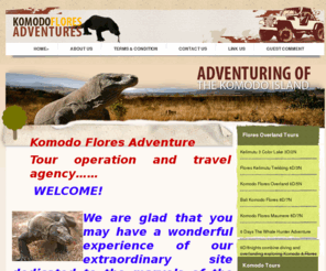 komodofloresadventure.com: Komodo Adventure And Flores Advnture tours
Komodo Adventure tours in flores and base in Labuan Bajo with Flores overland trip, make your trip with us