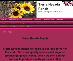 sierranevadaranch.com: Page 1
