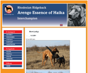 aaridge.com: Arengo Essence of Haika|Novinky
Arengo Essence of Haika