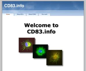 dendritic-cells.info: cd83.info
CD83 - The Maturation Marker of Dendritic Cells