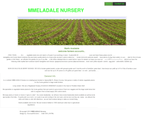 mmeladale.com: MMELADALE Nursery
MMELADALE Nursery grows a variety of starter vegetable plants for home gardners to large scale farmers.