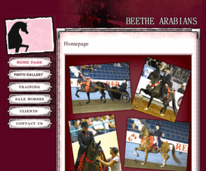 beethearabians.com: [ Beethe Arabians ] [ Homepage  ]
