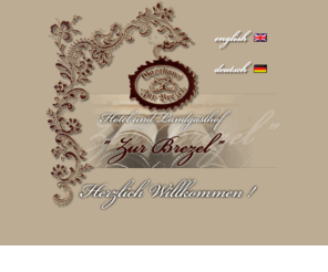 hotel-zurbrezel.com: Willkommen Welcome | Hotel zur Brezel Alzenau
