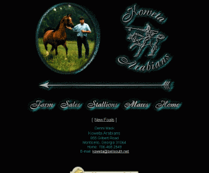 kowetaarabians.com: Arabian Horses of Koweta Arabians - Arabian Stallions, Horses for Sale, Georgia
Koweta Arabians is located 55 miles southeast of Atlanta and consists of 36 acres of pasture, woods, and a lake nestled in Jasper Country. At present, there are three stallions standing at stud at Koweta Arabians: 1997 US National Top Ten Amateur Halter Stallion, AM Gypsy Village, PR Alexx, and Koweta Elixxer.