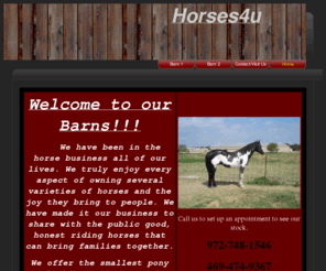 horses4u.net: HORSES4U
Family owned rehoming facility for horses