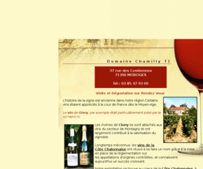 domaine-chamilly.com: Viticulteur 71, vins rosés, vins blancs et vins rouges à Moroges - Saône et Loire - DOMAINE DE CHAMILLY
Situé à Moroges dans la Côte Chalonnaise (71 Saône et Loire), le domaine Duréault Père et Fils vous propose ses vins rouges, ses vins blancs et ses rosés ainsi que son crémant de bourgogne.Contactez-nous.