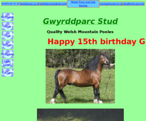 gwyrddparc.com: Gwyrddparc Stud. Quality Welsh Mountain Ponies.
Welsh mountain ponies, Section A, bred for type, temperament and movement with the ability and conformation to perform and excel in all disciplines.