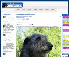 scottish-deerhound.com: Scottish Deerhound Community.
Advice and experience from Deerhound owners and Deerhound breeders all over the world. Everyone welcome, for the love of Deerhounds join us! Scottish Deerhound forum, directory, videos, pictures, chat and more.