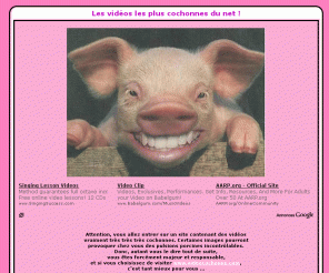 videocochonne.com: Bienvenue sur le site le plus cochon du net !
