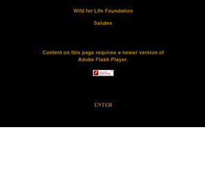 wildforlifefoundation.org: Wild for Life Foundation Entrance
Wild for Life Foundation, WFLF Entrance to Website.