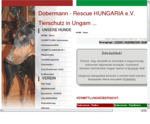dobermann-rescue-hungary.org: Dobermann-Rescue HUNGARY
Dobermann-Rescue HUNGARY