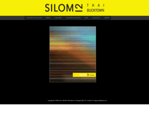 silom12chicago.com: Silom12 - Home
Silom12 is excellent authentic Thai food and the peaceful, luscious décor make this popular place to be for quiet dinners, parties or corporate events. Located in Chicago Bucktown neighborhood. 1846-48 N. Milwaukee Ave, Chicago, IL 60647