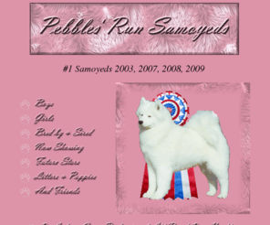 dandrewgreen.com: Pebbles Run Samoyeds
Amy Kiell-Green is pleased to share her Samoyeds and Friends, along with D. Andrew Green, Professional All Breed Dog Handler