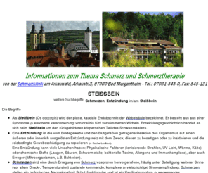 steissbein.com: STEISSBEIN - Schmerzen und Entzündung im Steißbein
Schmerzen im Steißbein treten vor allem beim Sitzen auf, meist infolge einer Entzündung