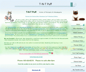 tntpuff.com: Home of Persian and Himalayan 
Kiittens
T-N-T Puff in New Hampshire has Persian Cat Persian Cat Breeder Persian Kitty Persian Kitty Breeder Persian Kitten Himalayan Cat Himalayan Cat Breeder Persian Kitty For Sale Himalayan Cat For Sale Persian Cat Cattery Himalayan Cat Cattery  